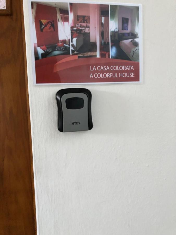 La Casa Colorata Leilighet Pisa Eksteriør bilde